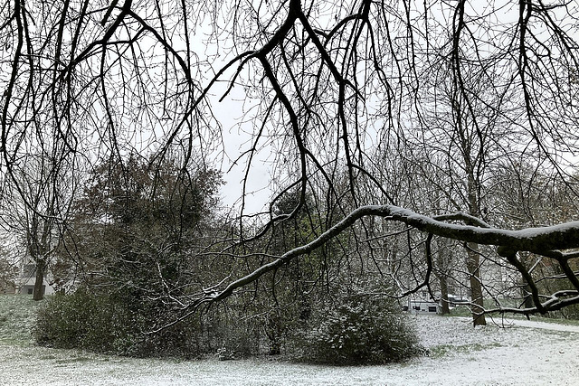 Heute in Karlsruhe. Der erste Schnee, juchee!