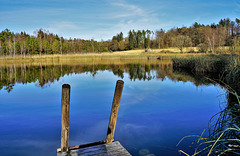 Barchetsee / Oberneunforn TG