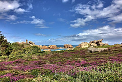 La côte de granit rose