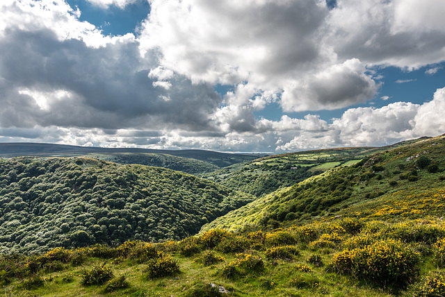 Dartmoor - 20150831