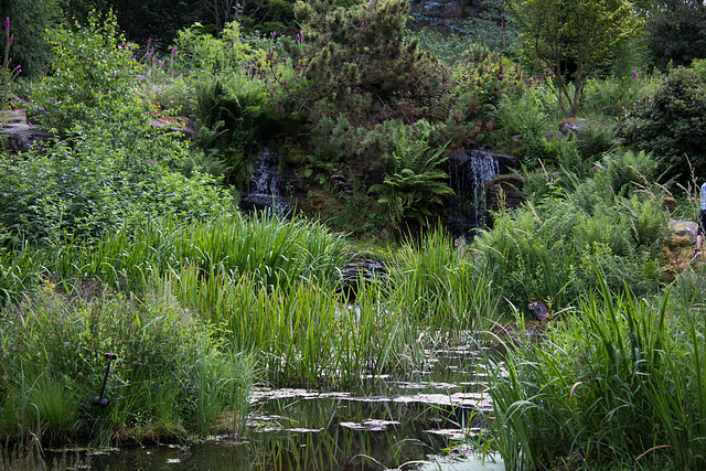 Jardin des Callunes