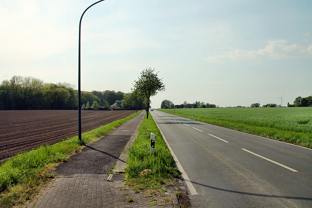 Recklinghäuser Straße (Herten) / 22.04.2018