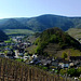 DE - Mayschoß - Panoramic view from the vineyards