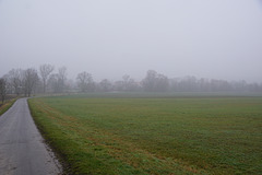 Nebel in Hörden