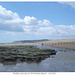 Muddy outcrop Winchelsea 1 8 2006