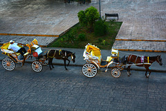 Mexico, Horse-Drawn Carriages in the City of Izamal