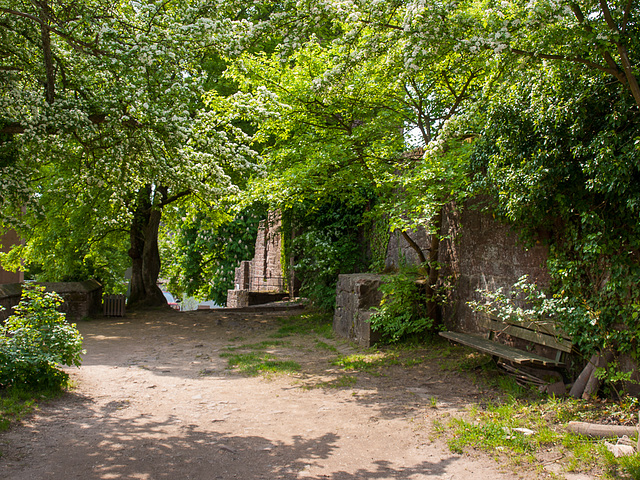 Montagsbank auf dem Dilsberg - hBM