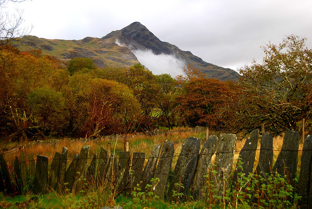 Cnicht and slate fence.  Happy Fence Friday!