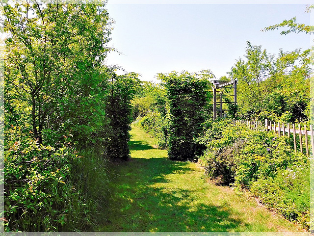 Au jardin des Saules à Saint André des Eaux (22)