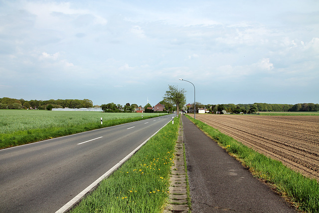 Recklinghäuser Straße (Herten) / 22.04.2018