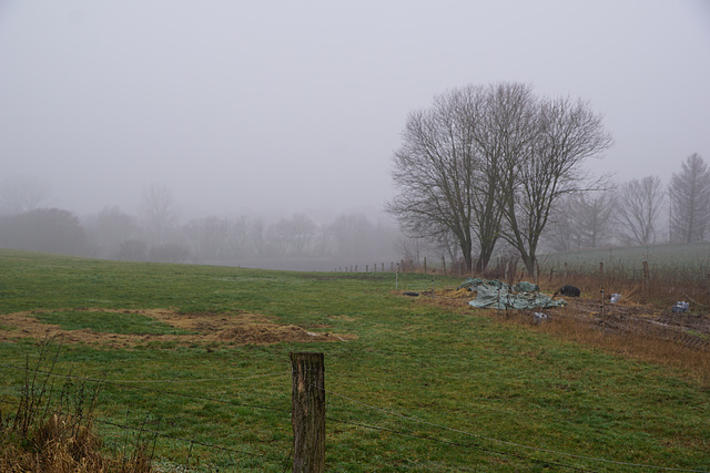 Nebel bei Elbingerode
