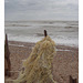 Old man of the sea? -  Winchelsea - 15 8 2007