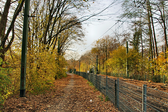 Weg an der U45-Trasse (Dortmund-Innenstadt-West) / 8.11.2020