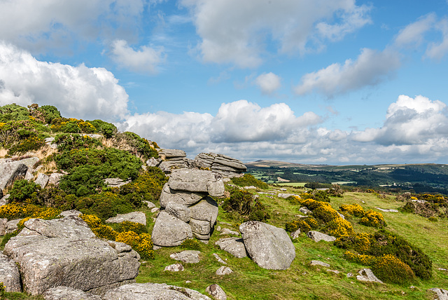 Dartmoor - 20150831