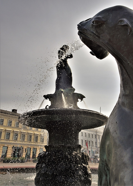 Spitting Seal Fountain 2