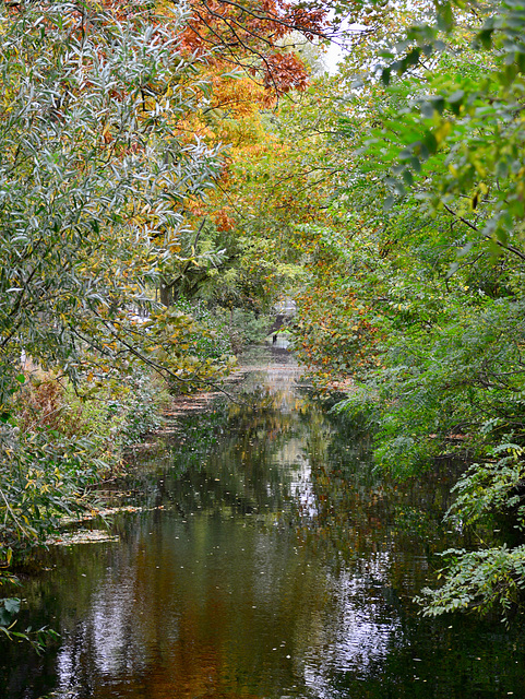 Poelwetering