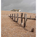 One man, one building & a skeleton groyne - Winchelsea - 15 8 2007