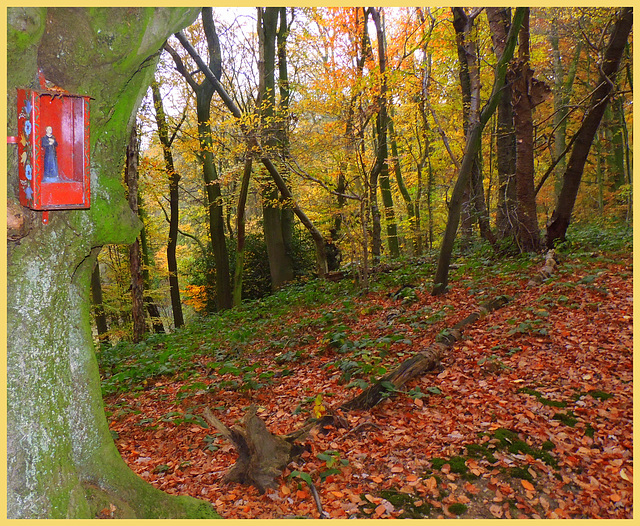 Father Francis Blesses the Autumn Forest