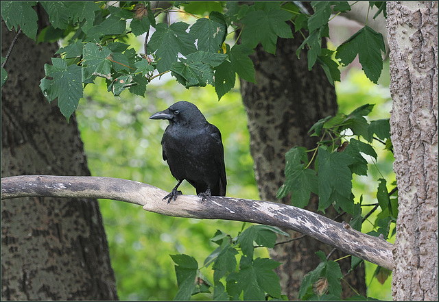 Paused for thought Paused for thought