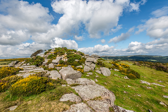 Dartmoor - 20150831