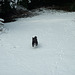 My Tippi loving the snow.