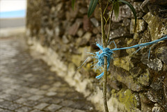 Penedos, Corda azul, Blue rope