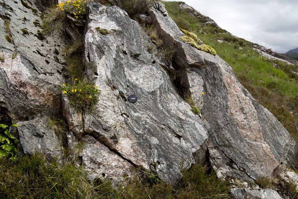 Sheared Lewisian Gneiss