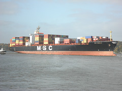 MSC Shaula