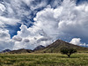 Bob Thompson & Montezuma Peaks