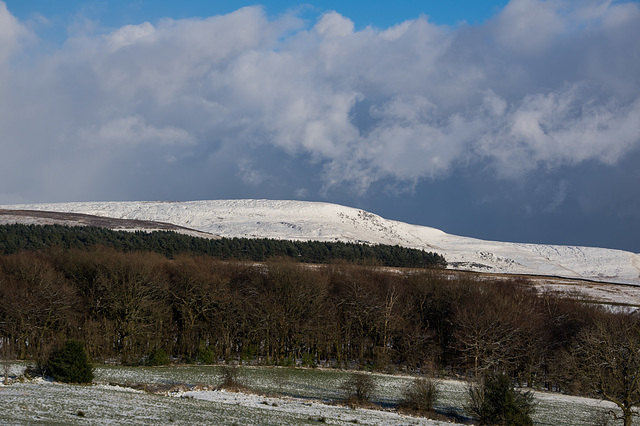 Bleaklow