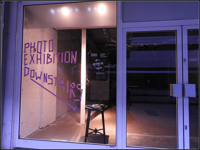 Lilac Exhibition