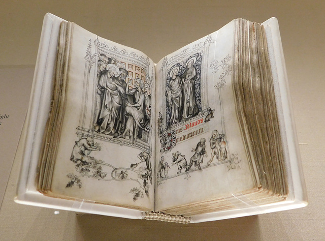 The Hours of Jeanne D'Evreux in the Cloisters, October 2017