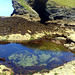 Rock pool, enormous cave, no tourists, a gorgeous day, low tide, calm sea and WARM! What more could anyone want! H. A. N. W. E. everyone! For Pam of course!