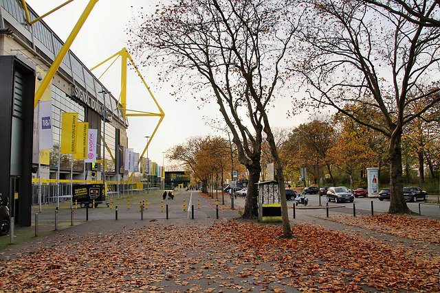 Strobelallee am Signal-Iduna-Park (Dortmund-Innenstadt-West) / 8.11.2020