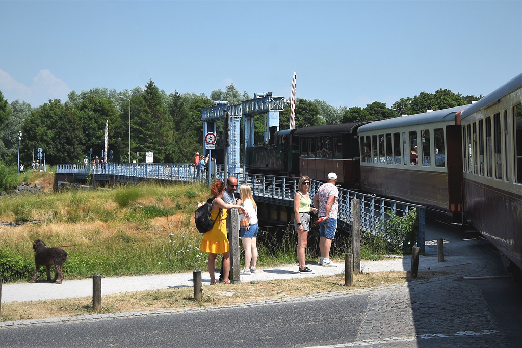 Lady in yellow dress watches the train passing the fence!