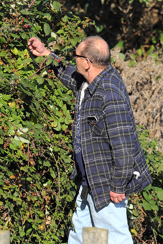 EOS 60D Unknown 10 30 07 03506 WildBlackberries dpp