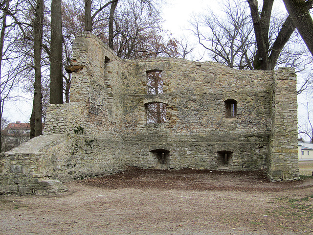 Alte Schloss-Ruine im Teublitzer Stadtpark