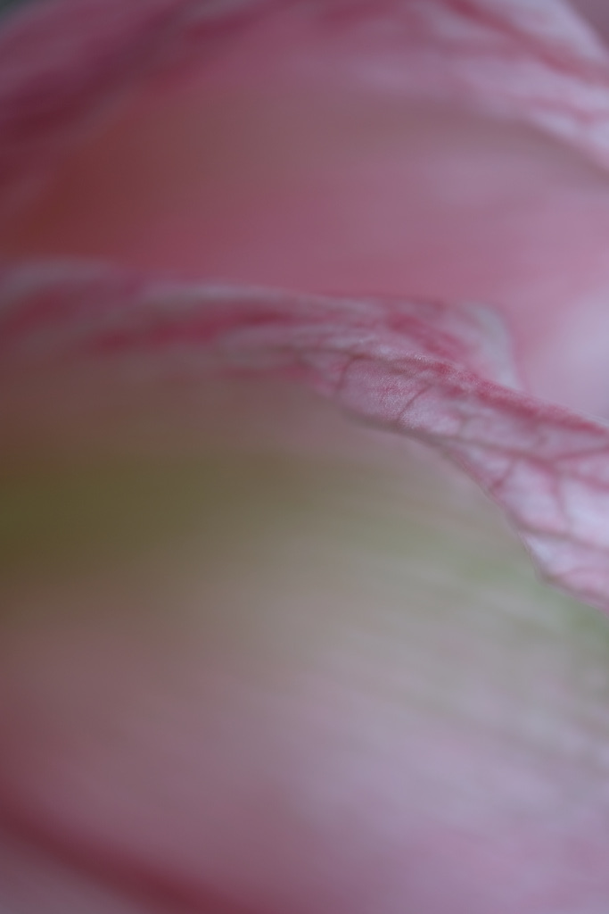 DSCF2982