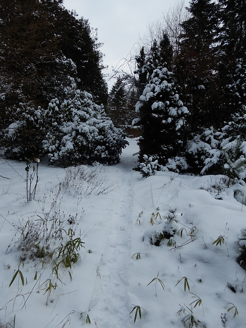 Der Garten ruht unter dem Schnee