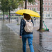 Yellow umbrella