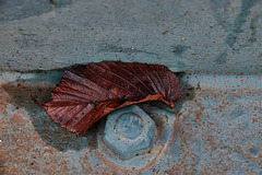 Rust,Rot And Nature