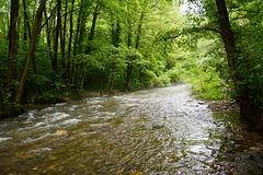 Bulgaria, Blagoevgrad, The River of Bistritsa in the Park of Bachinovo