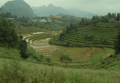 Haut plateaux Vietnam (41)