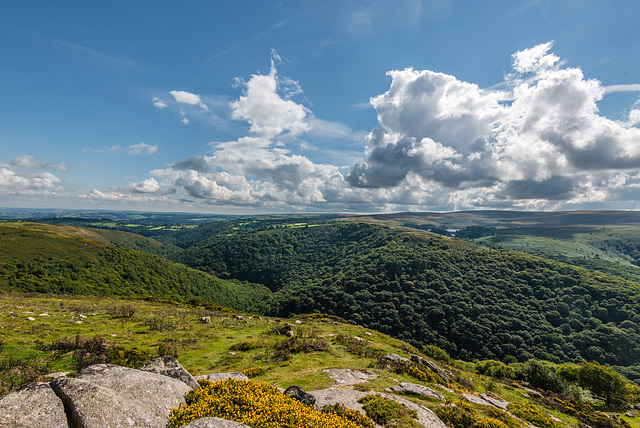 Dartmoor - 20150831