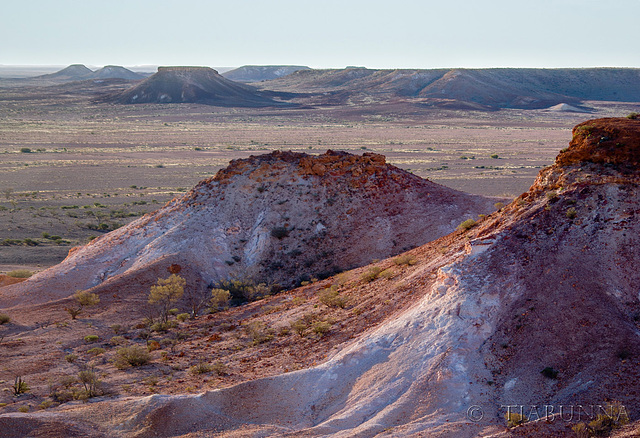 More of the Breakaways