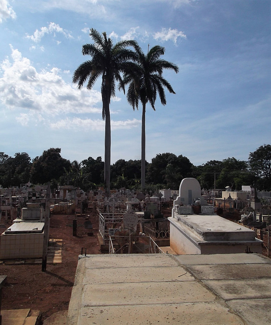 Funerary coconut twins