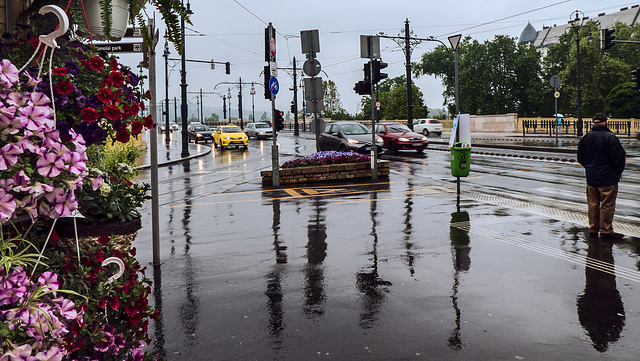 19_05_Budapest im Regen