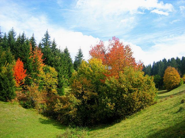 Autumn valley