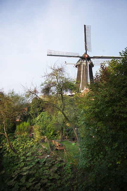 Mill, Hattem