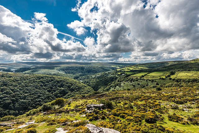 Dartmoor - 20150831